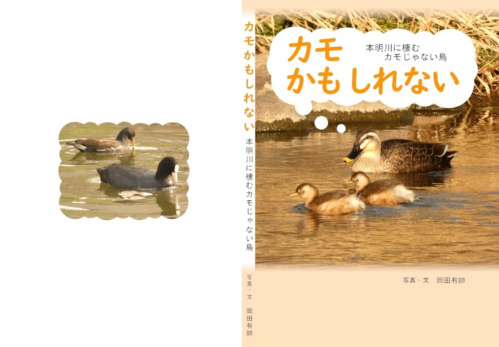 「カモかもしれない」