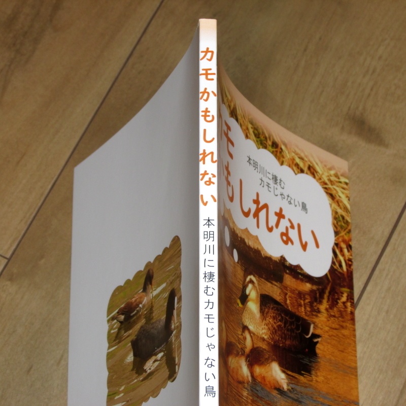「カモかもしれない」