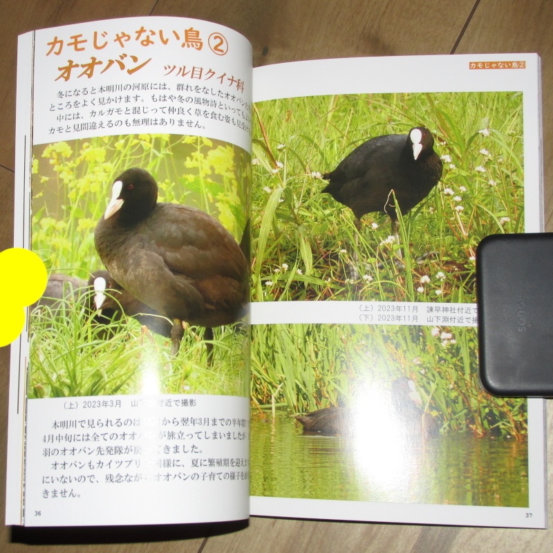 「カモかもしれない」あんしんBOOTHパック