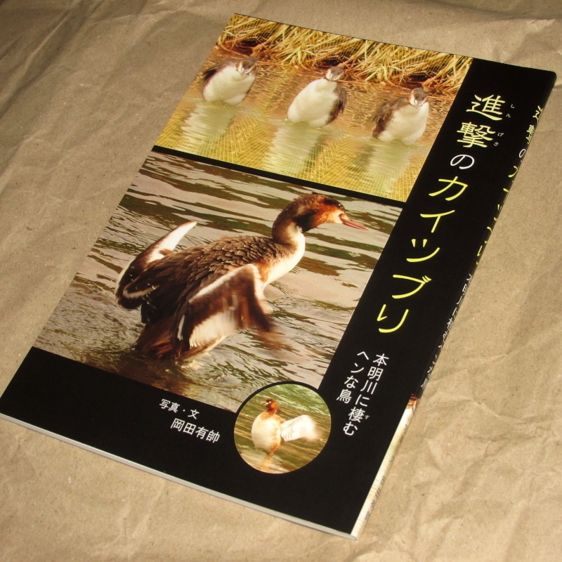 「進撃のカイツブリ」