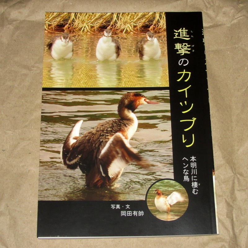 「進撃のカイツブリ」