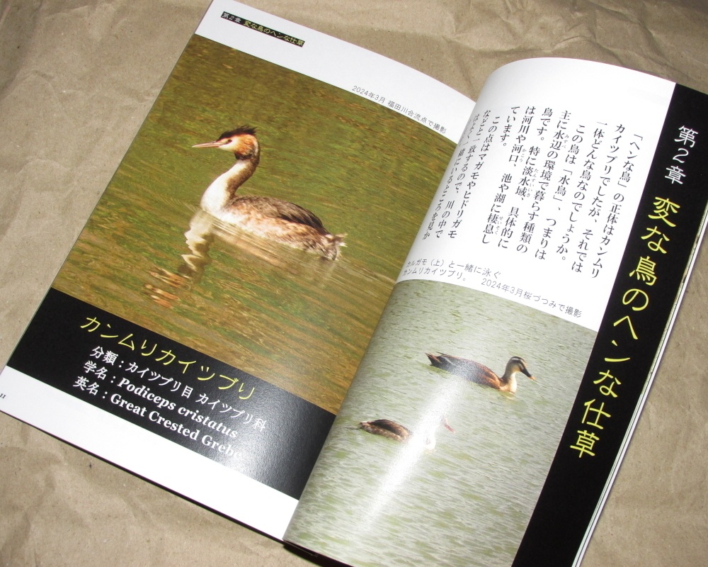 「進撃のカイツブリ」あんしんBOOTHパック