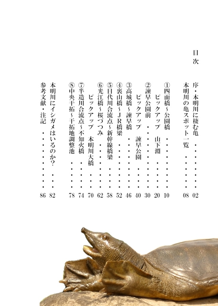 「亀とスッポン」