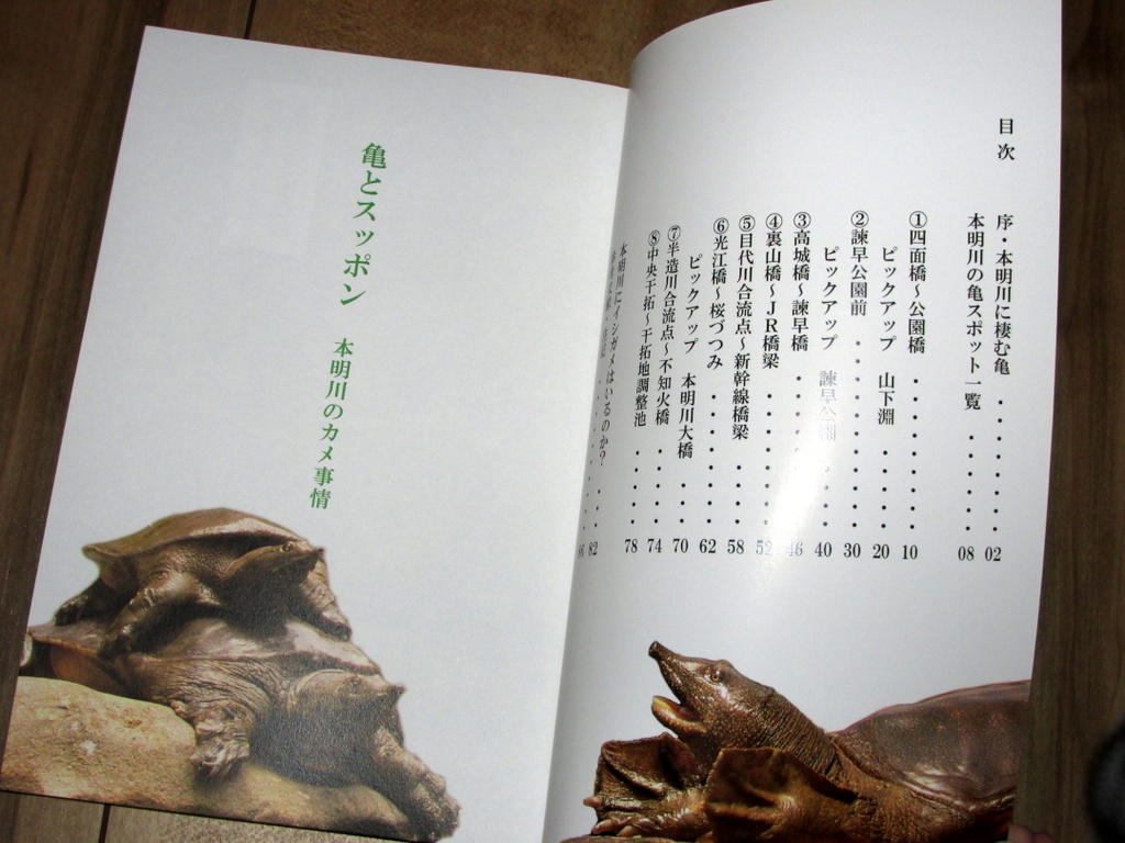 「亀とスッポン」あんしんBOOTHパック