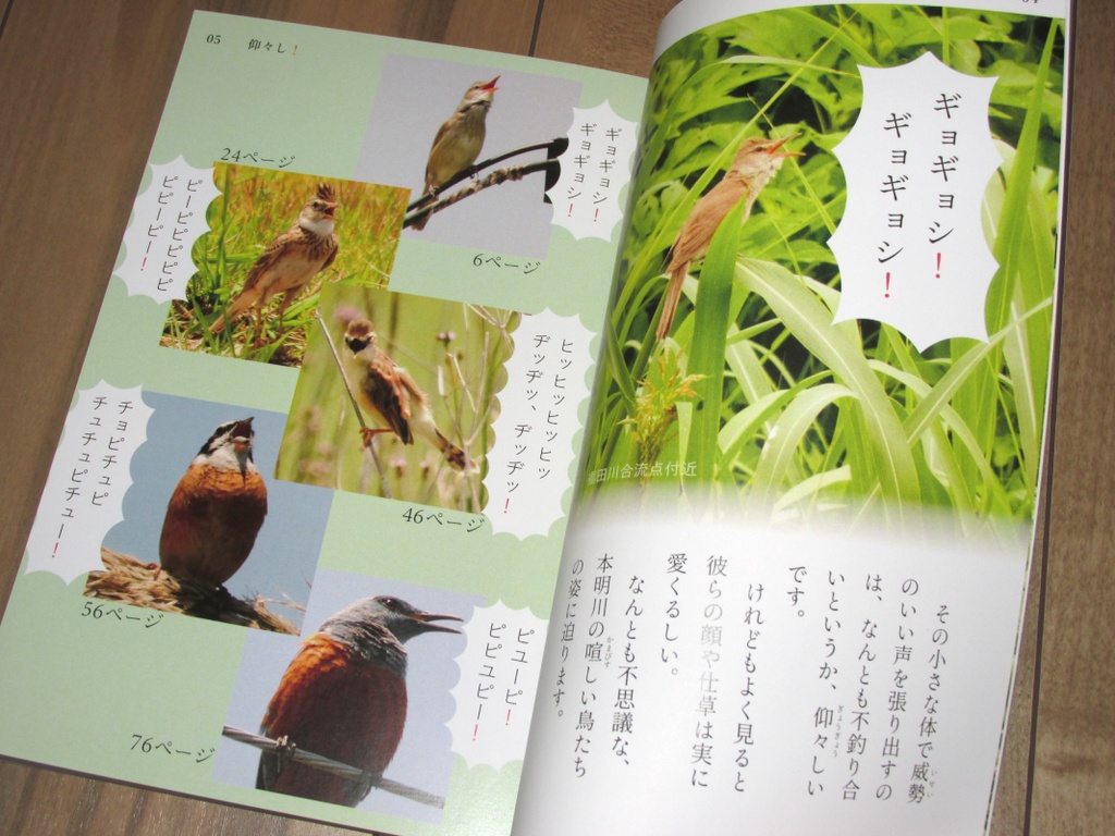 「仰々し!」ゆうゆうBOOTHパック