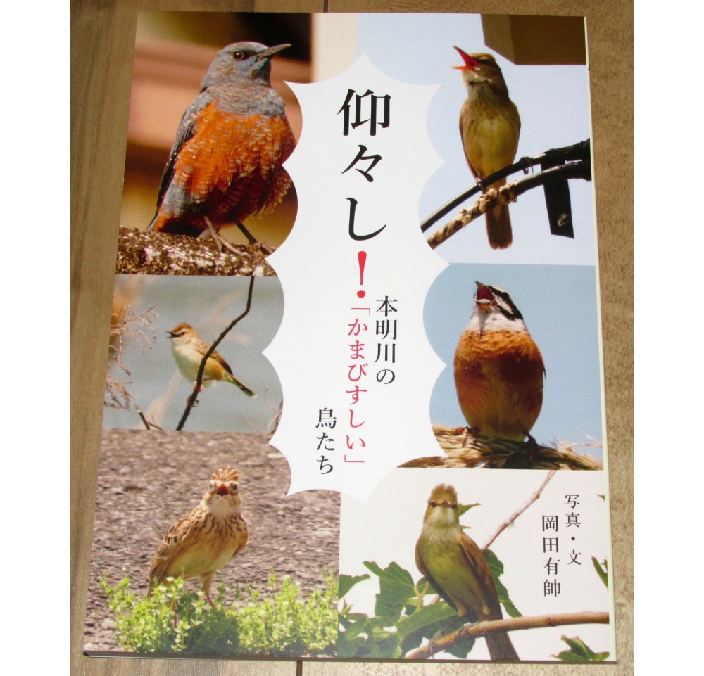 「仰々し！」ゆうゆうBOOTHパック