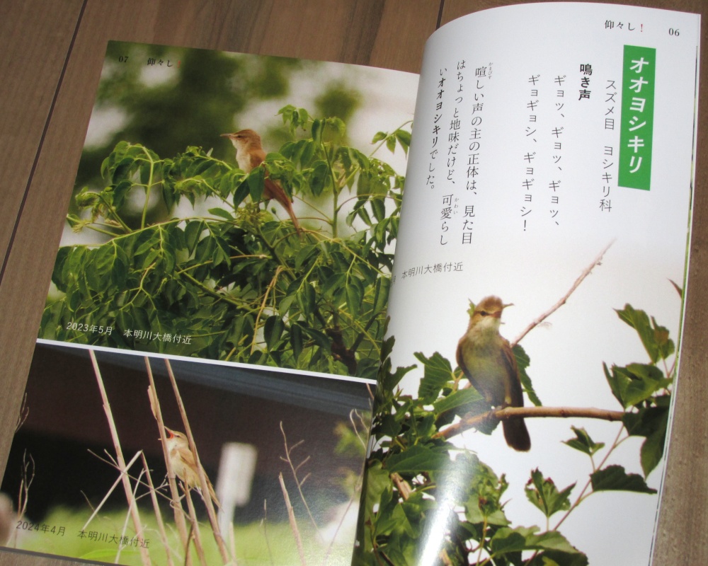 「仰々し!」ゆうゆうBOOTHパック