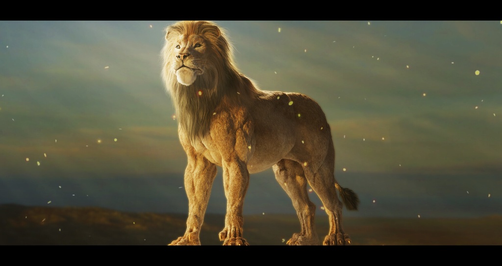 ライオンモデル 解説付き