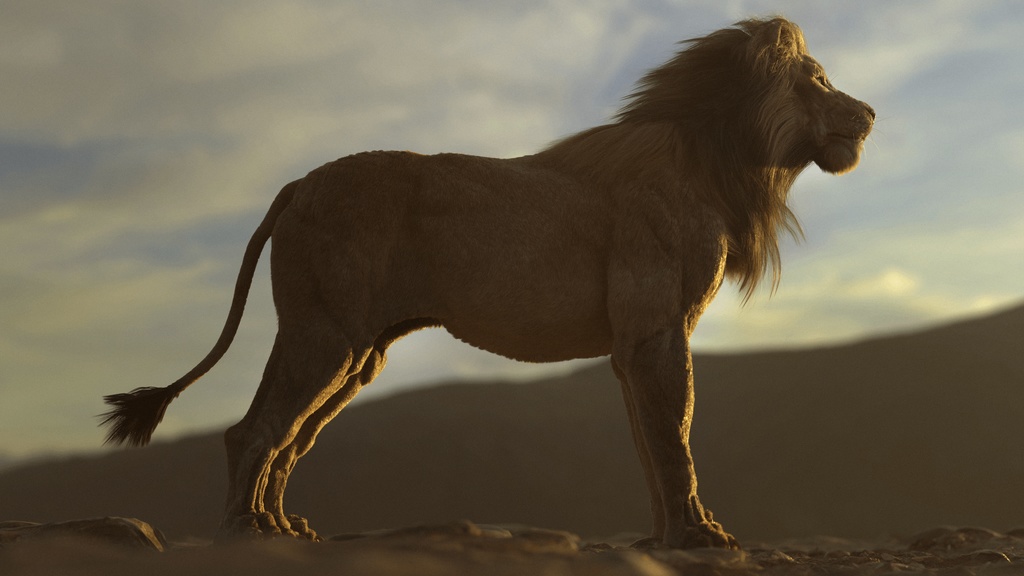 ライオンモデル 解説付き