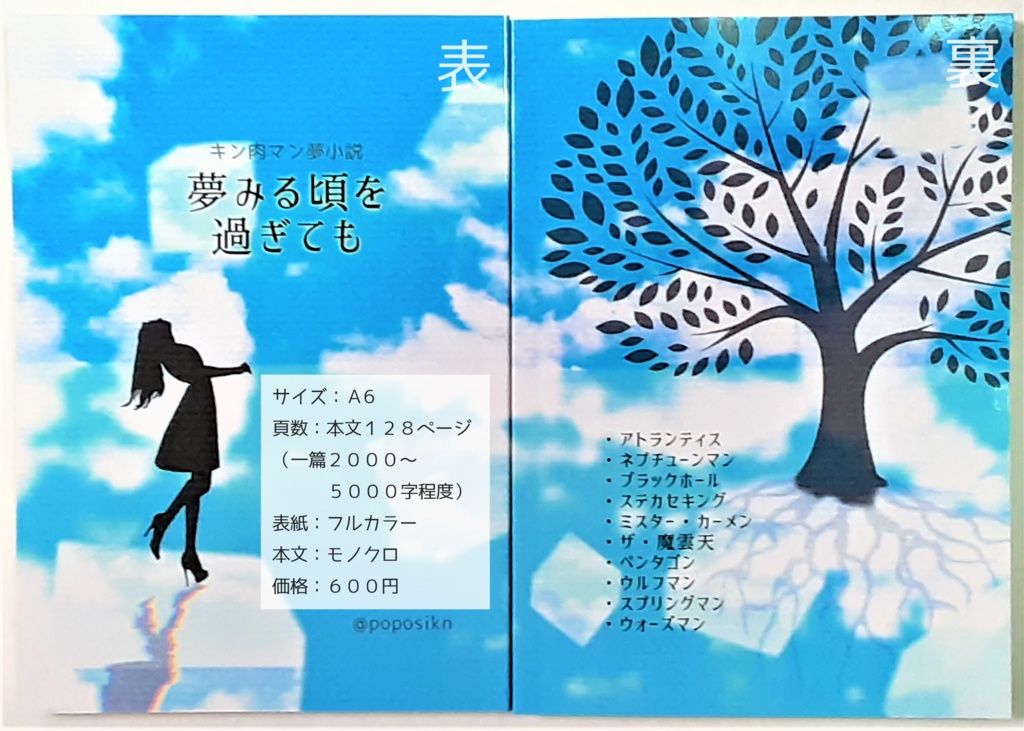 キン肉マン夢小説「夢みる頃を過ぎても」