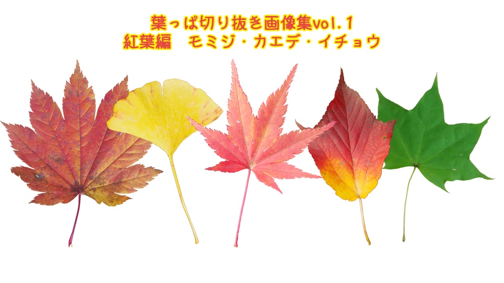 葉っぱ切り抜き画像集 vol.1　紅葉編　モミジ、カエデ、イチョウ