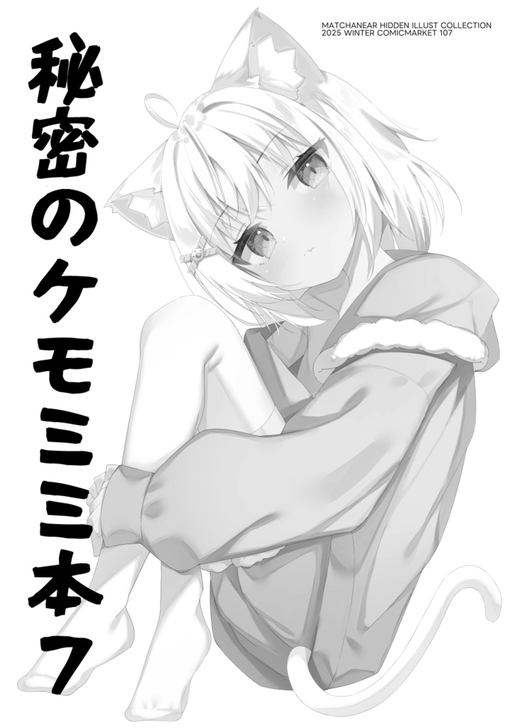 C107クリアファイル+おまけ本セット