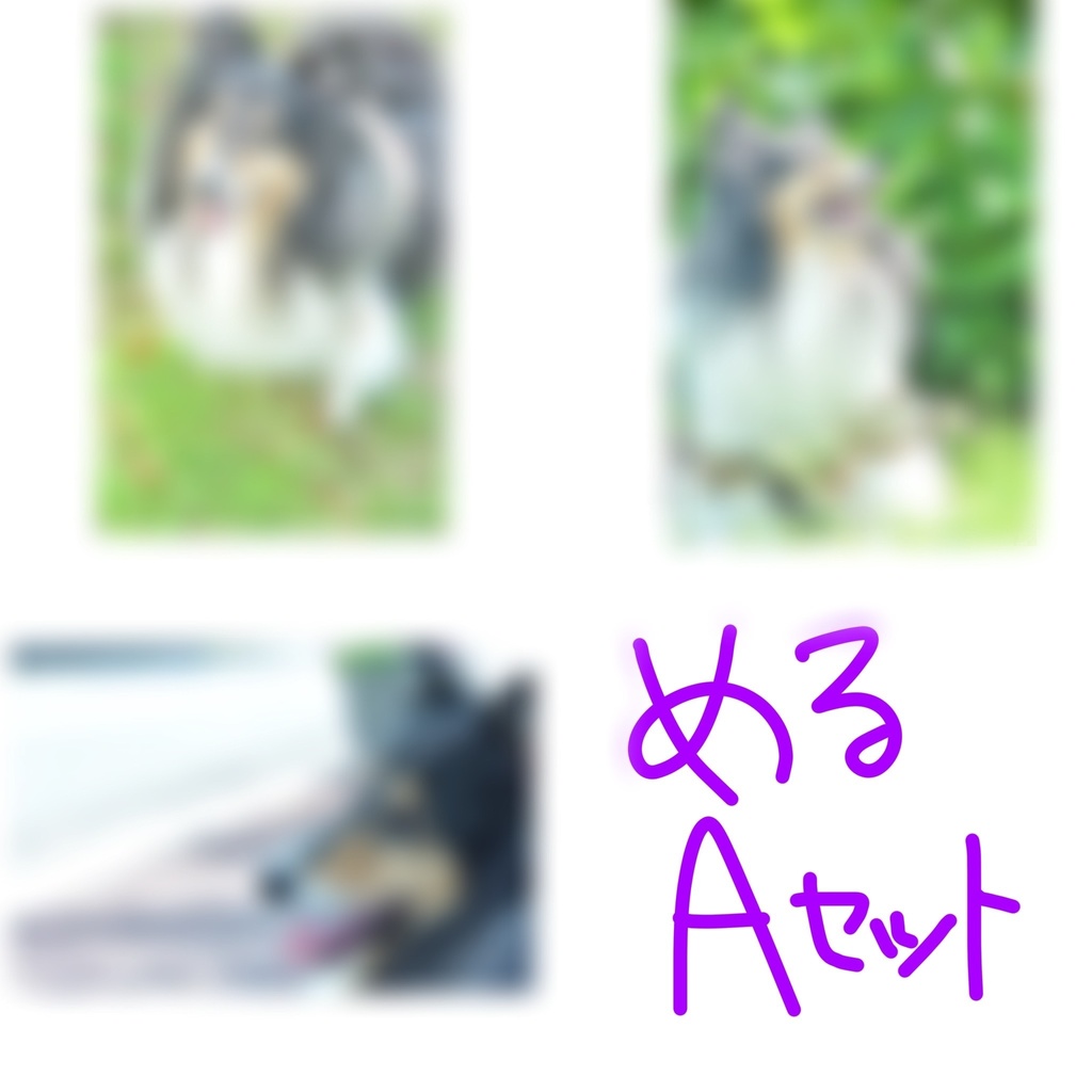 (SOLD OUT)ブロマイド ボブりえ&める