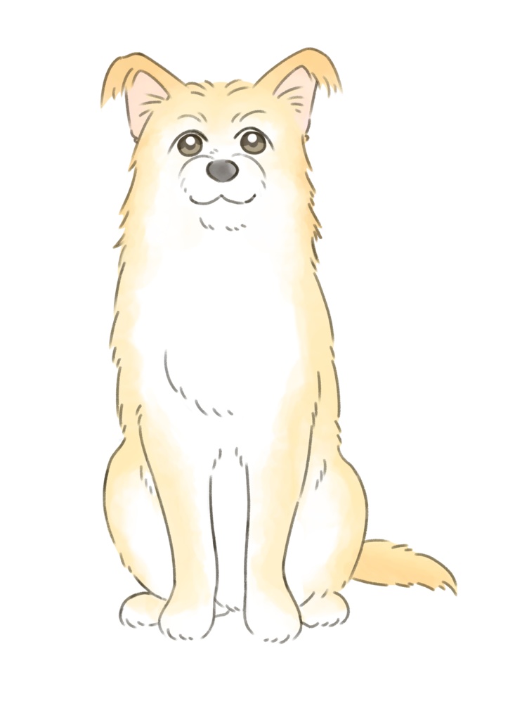 太郎さん クッション 大