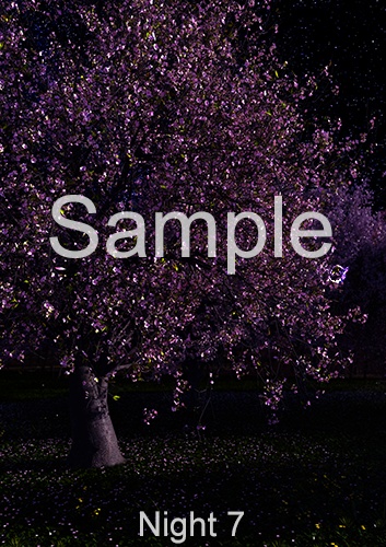 3DCG背景素材集:桜シリーズ-1(8Kピクセル、フルHDサイズ 