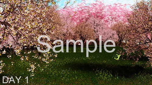 3DCG背景素材集:桜シリーズ-1(2Kピクセル、HDサイズ)