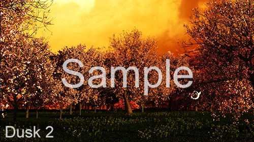 3DCG背景素材集:桜シリーズ-1(2Kピクセル、HDサイズ)