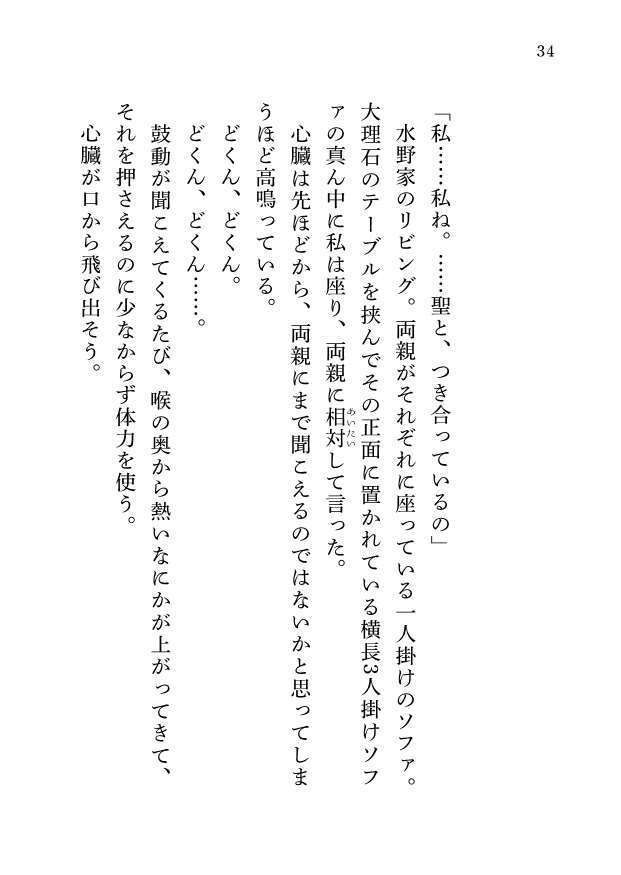 【書籍】紅椿―マリみて二次創作 聖蓉SS集―