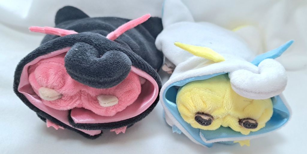 かぼちゃパンツ(単品)