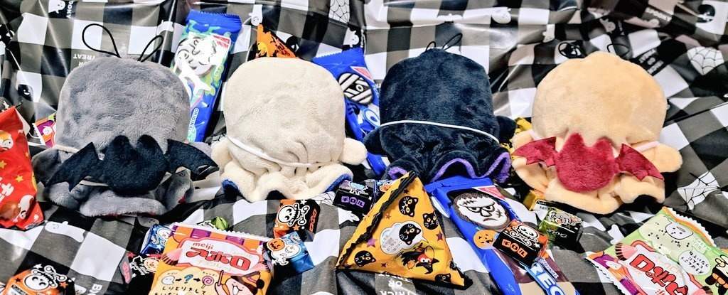 リバーシブルおばけな服