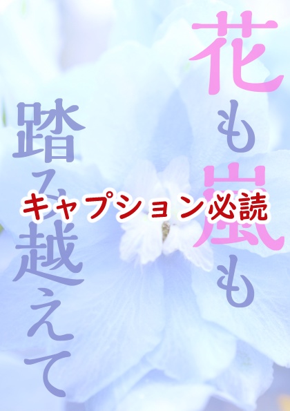 お問い合わせ商品②