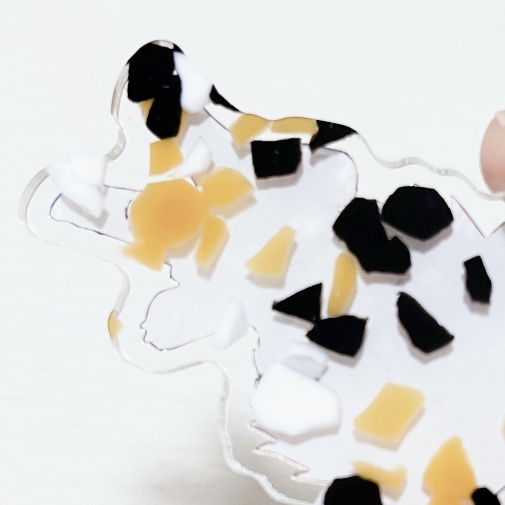 Fate/EXTRAアクキー