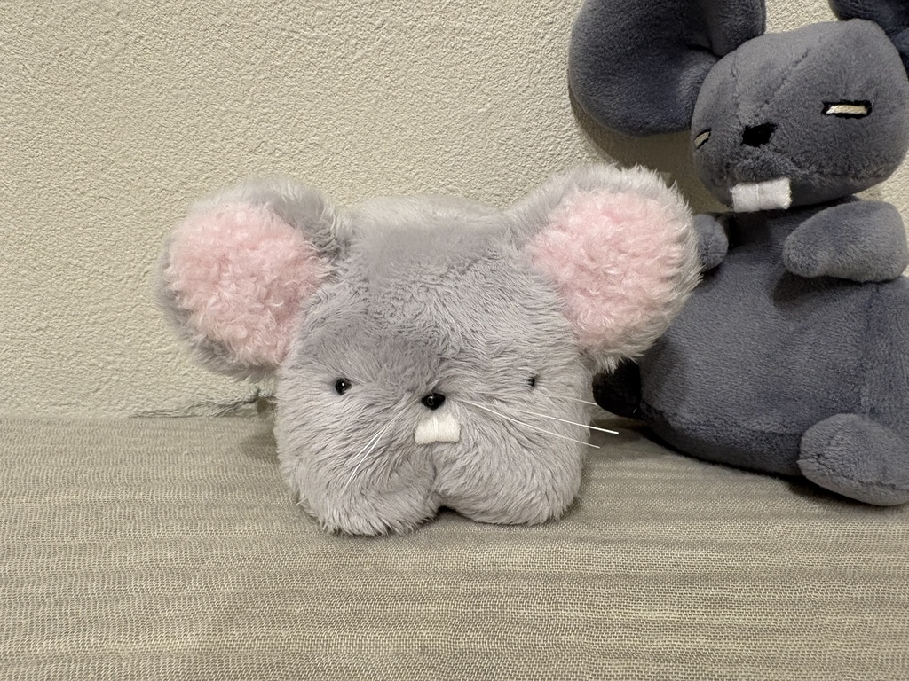 ねずみのちっち。