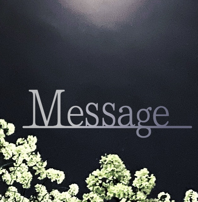 インセインシナリオ「Message」