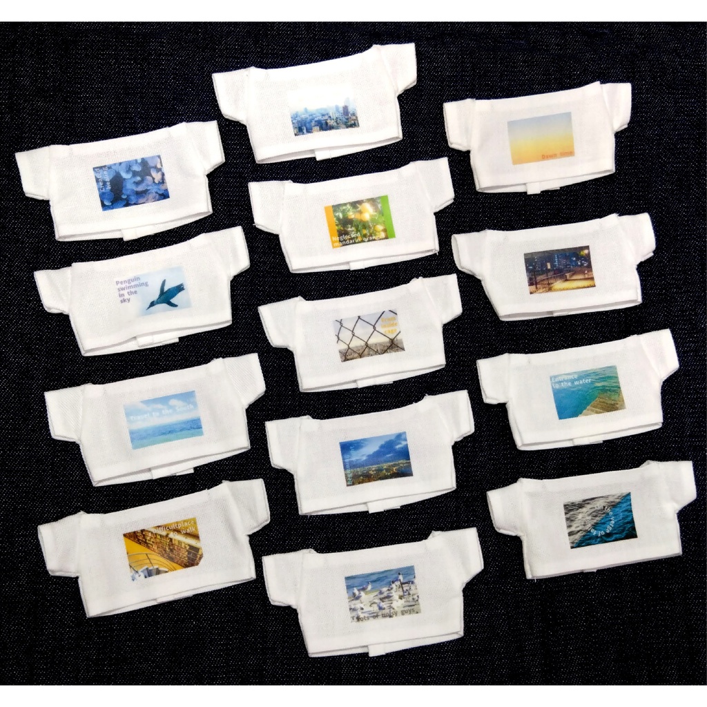 Tシャツ【フォトグラフィック】