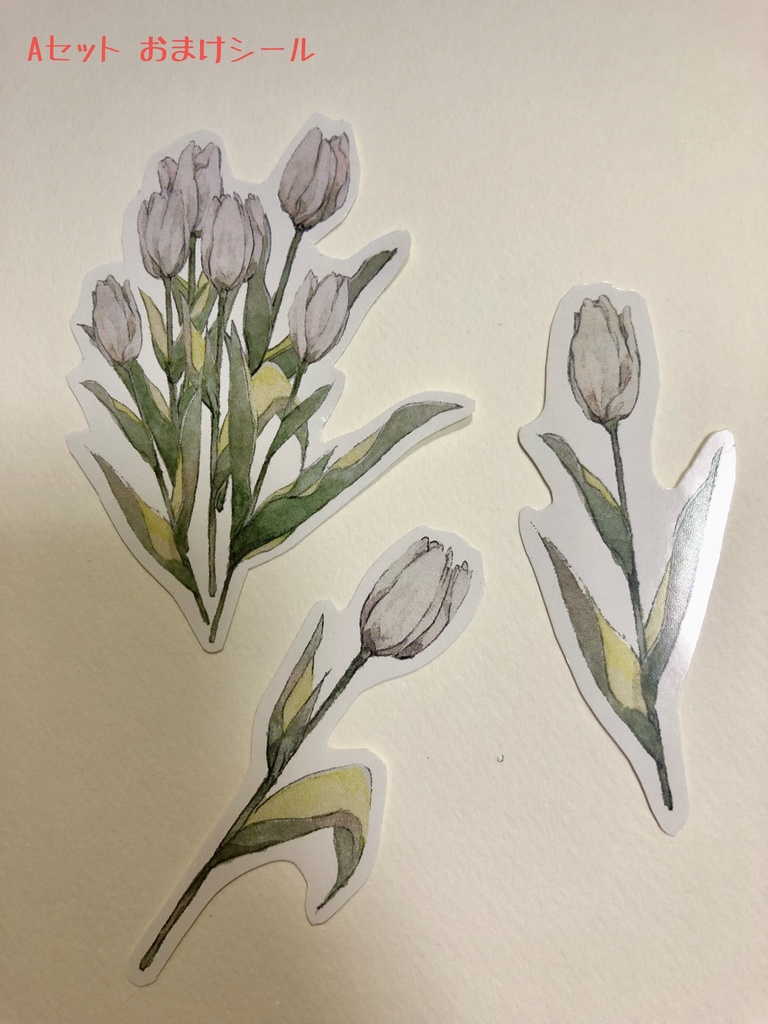 ポストカード バラ&セット