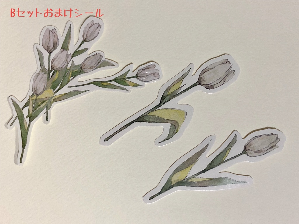 ポストカード バラ&セット