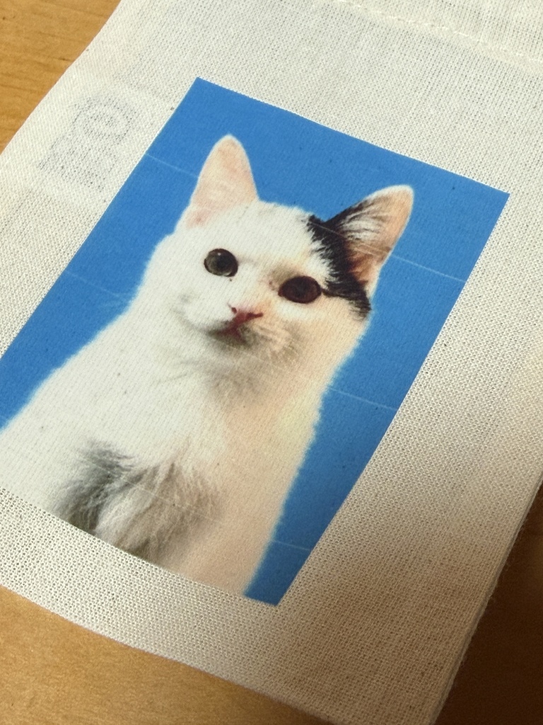 証明写真ウーきんちゃく