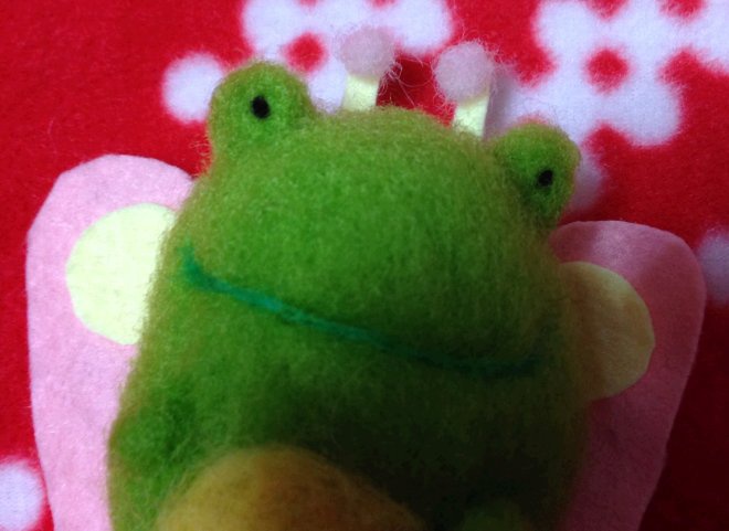 羊毛フェルト◆マジックバタフガエル