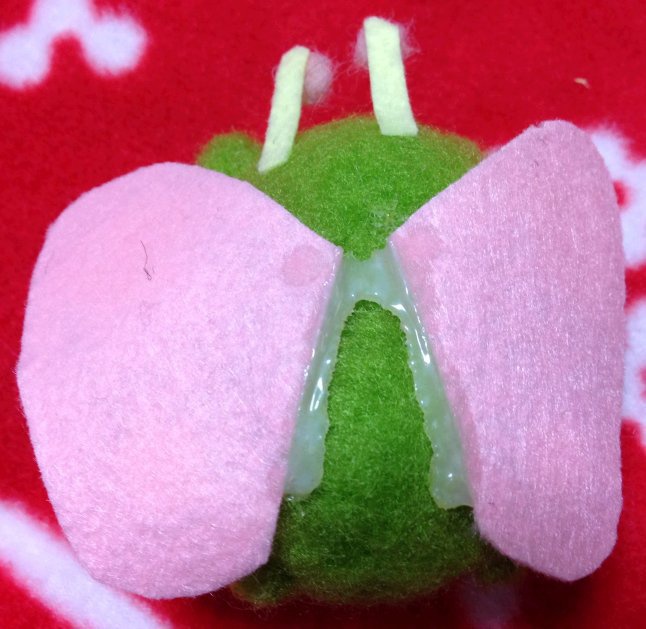 羊毛フェルト◆マジックバタフガエル