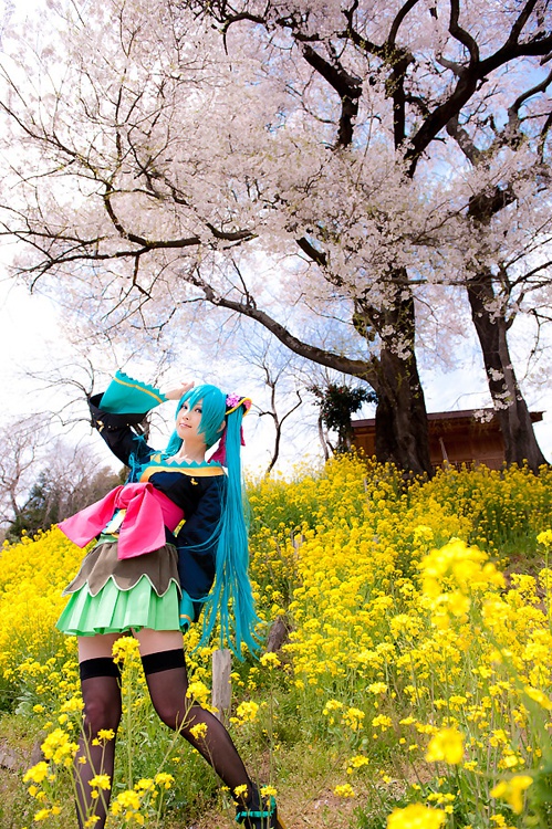 【C80頒布 DL版】Colorfuls