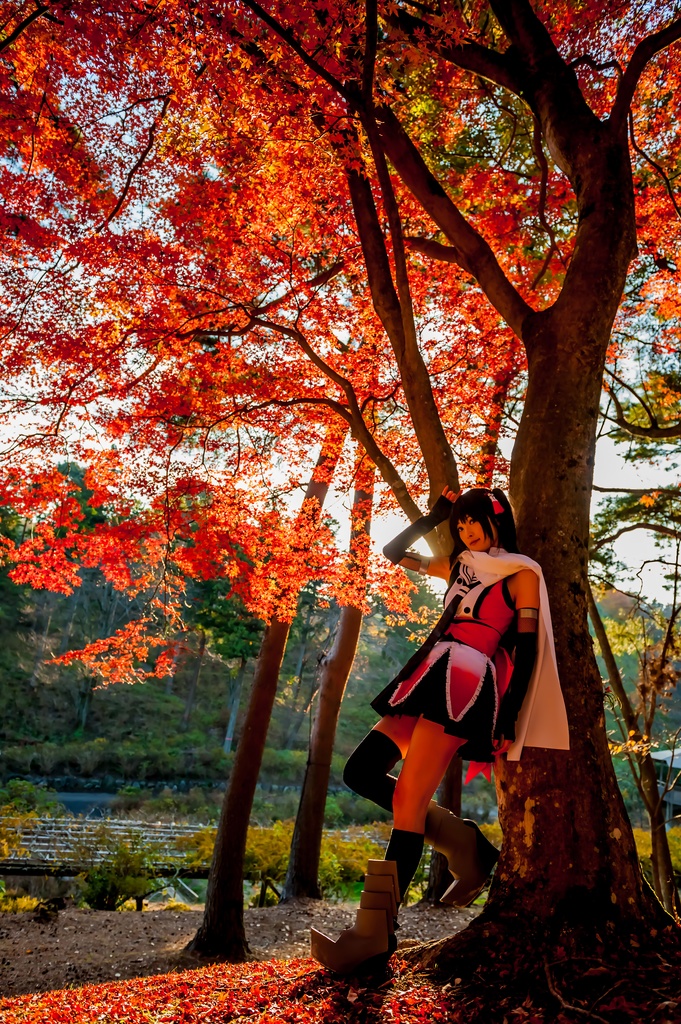 【C90頒布 DL版】Lunaflare