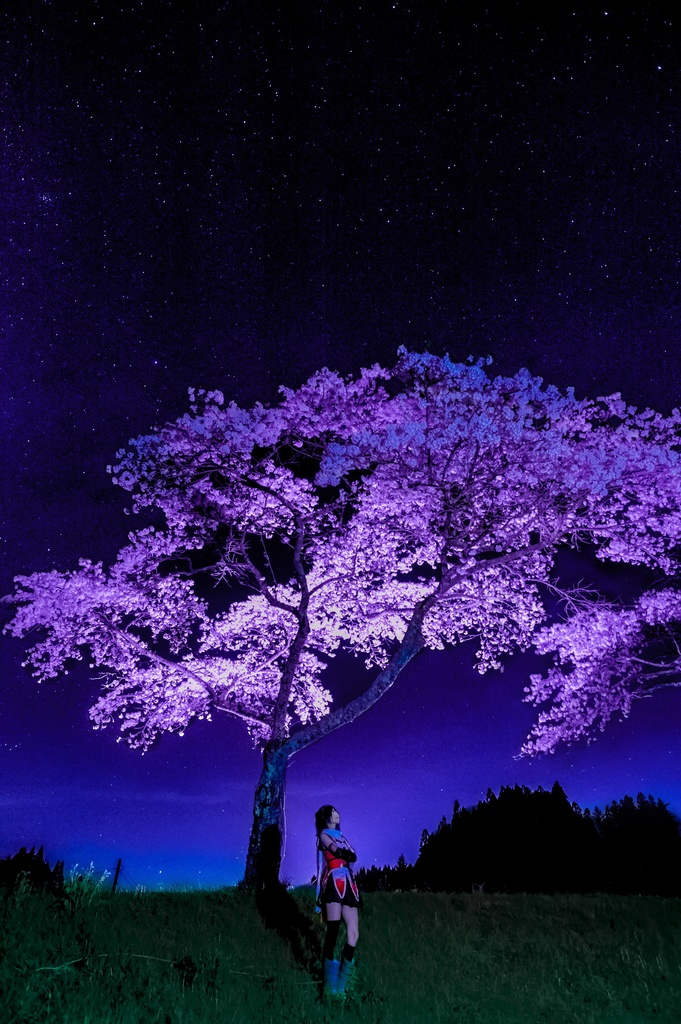 【C92頒布 DL版】SENDAI the Border between Fantasy and Reality