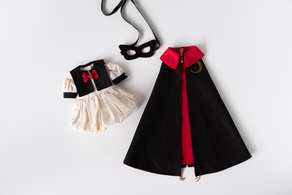 怪盗パンダ(b)試作品