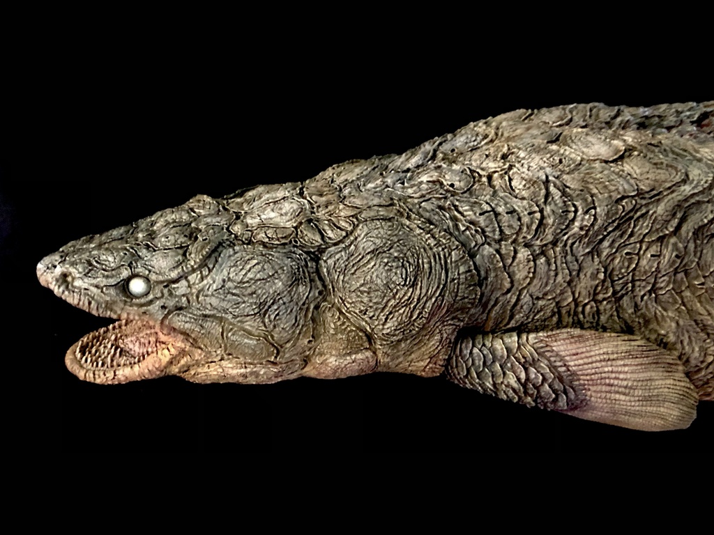 モケーレ・ムベンベ