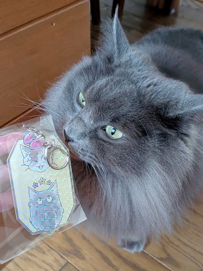 海に行こうよ!!おっきなアクキー_かに