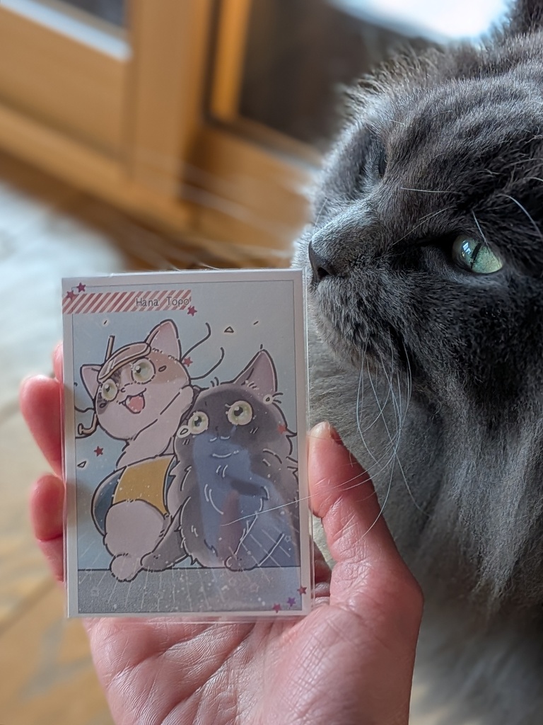 海に行こうよ!!おもいでカード_到着!