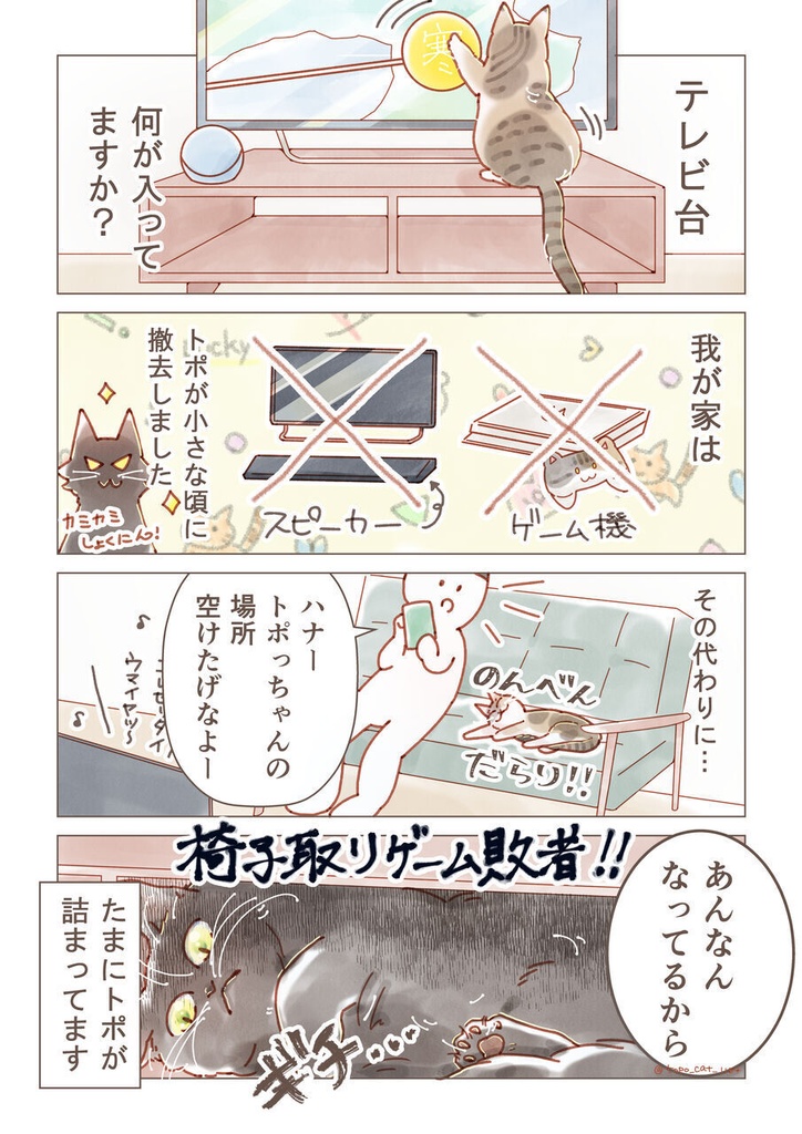 まとめ本 3|ちょっとうちの猫についてノロケさせてくれ ✳︎ まんが