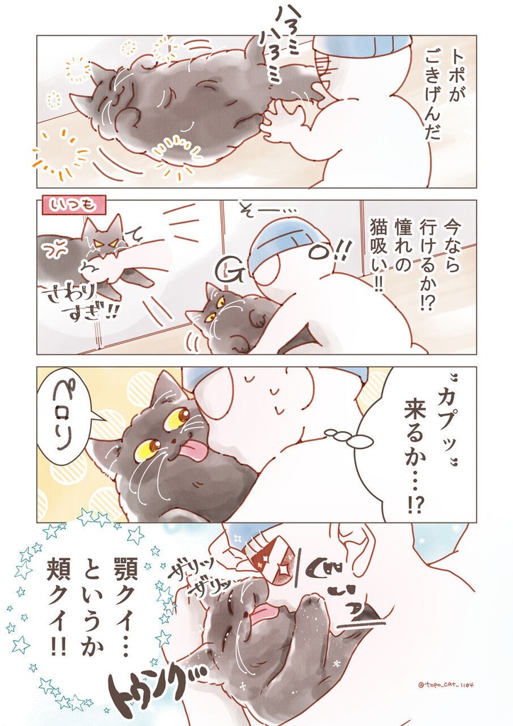 まとめ本 3|ちょっとうちの猫についてノロケさせてくれ ✳︎ まんが