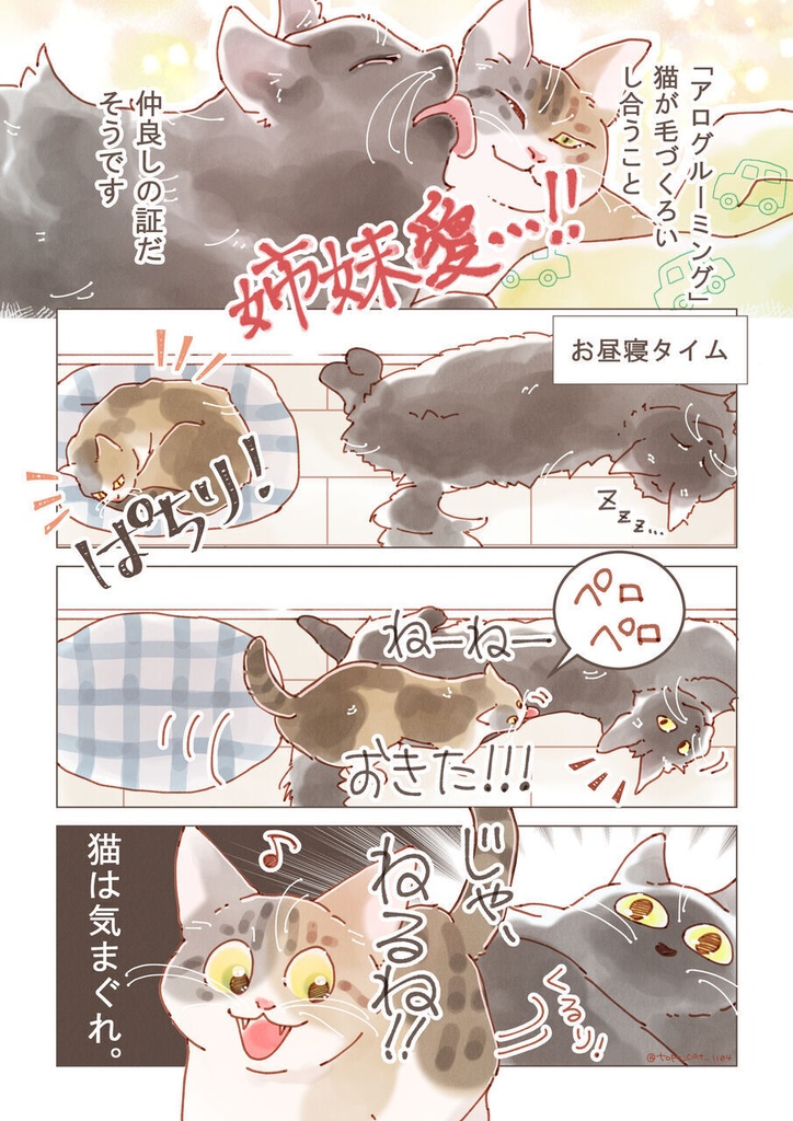 まとめ本 3|ちょっとうちの猫についてノロケさせてくれ ✳︎ まんが