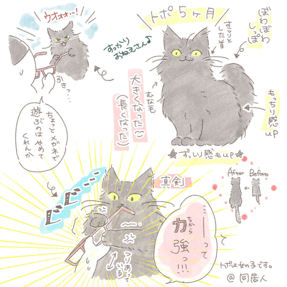 まとめ本 1|うちのボスがお嬢ちゃんだったころ ✳︎ まんが