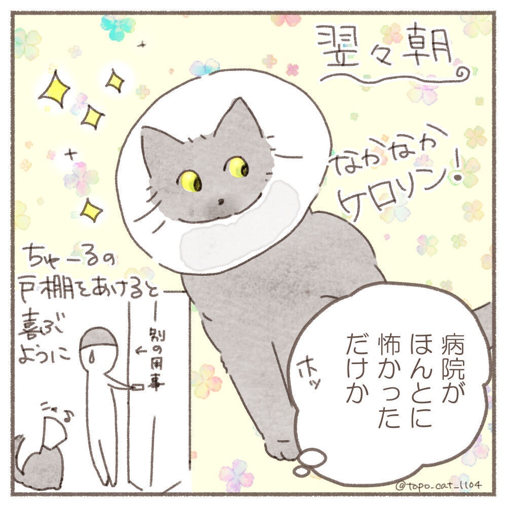 まとめ本 1|うちのボスがお嬢ちゃんだったころ ✳︎ まんが