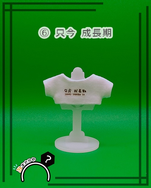 10cmぬい用 白Tシャツ①【ぬい服】