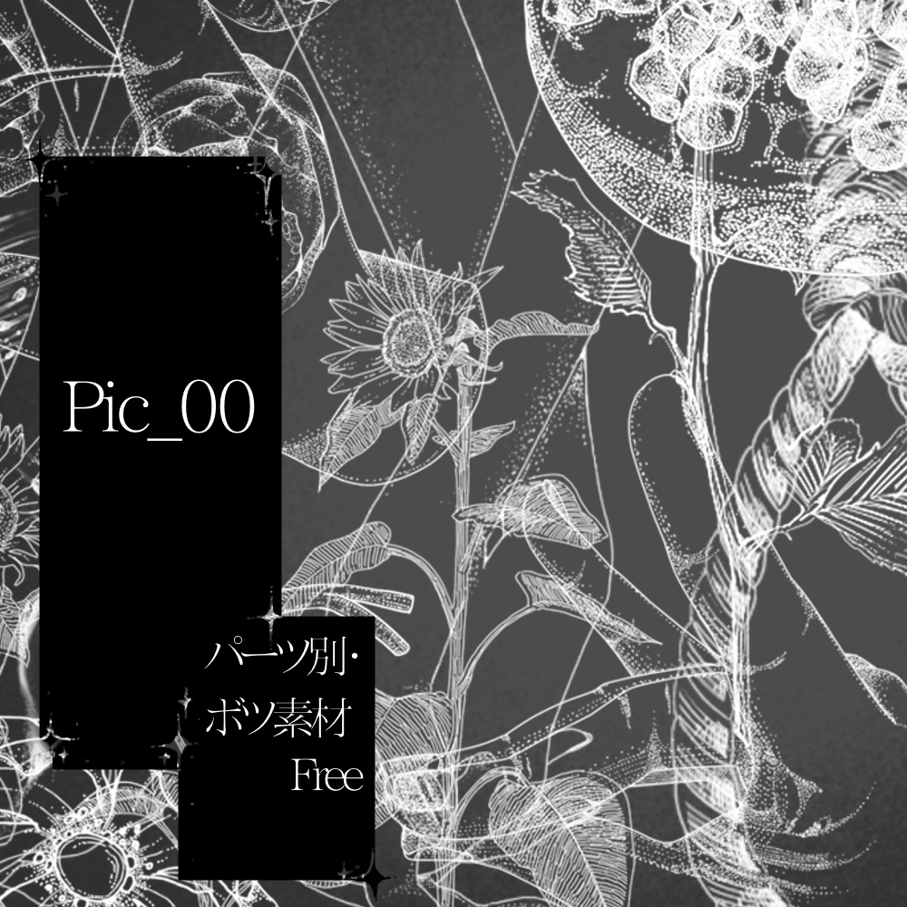 「pic_00」無料