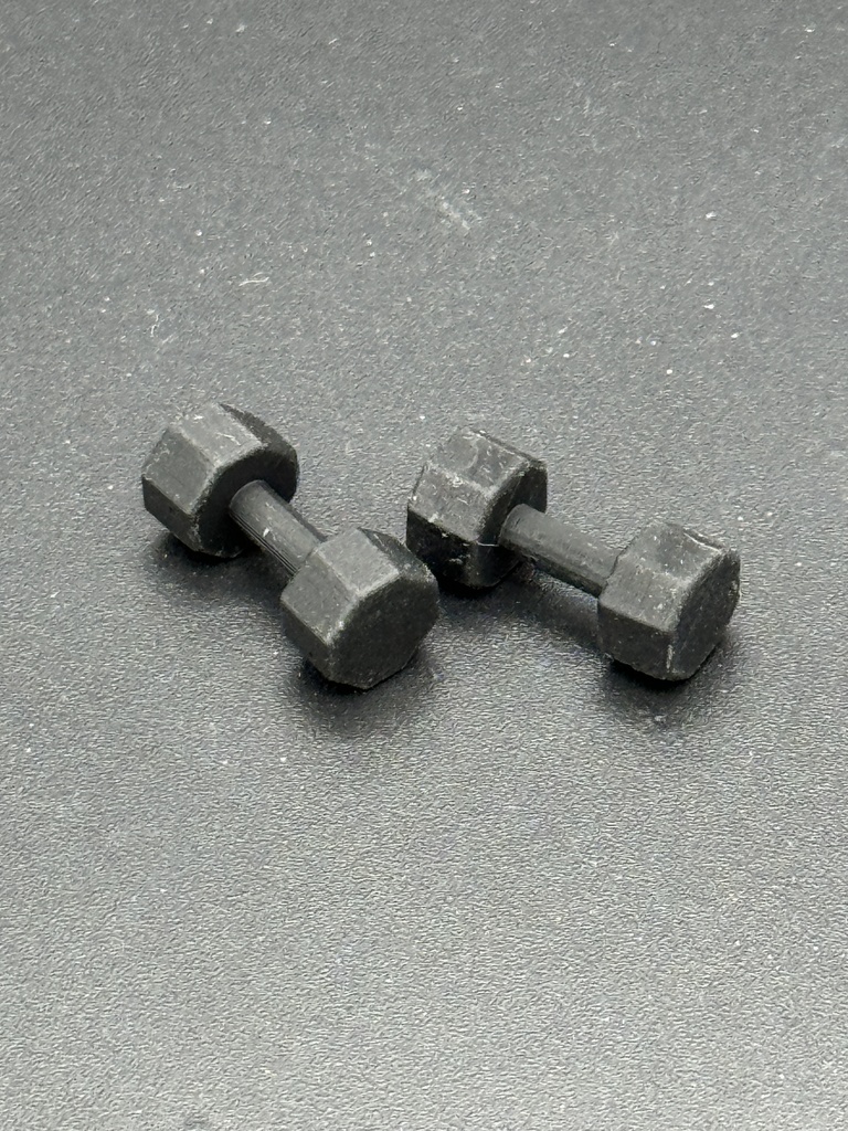 MGQ-100　訓練シリーズ　ダンベル2個セット