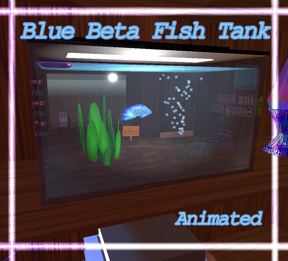 Beta Fish Tank